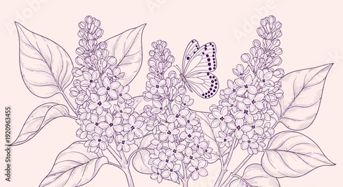 Delicate Lilac Blossoms and Butterfly Vector Illustration with Detailed Petals