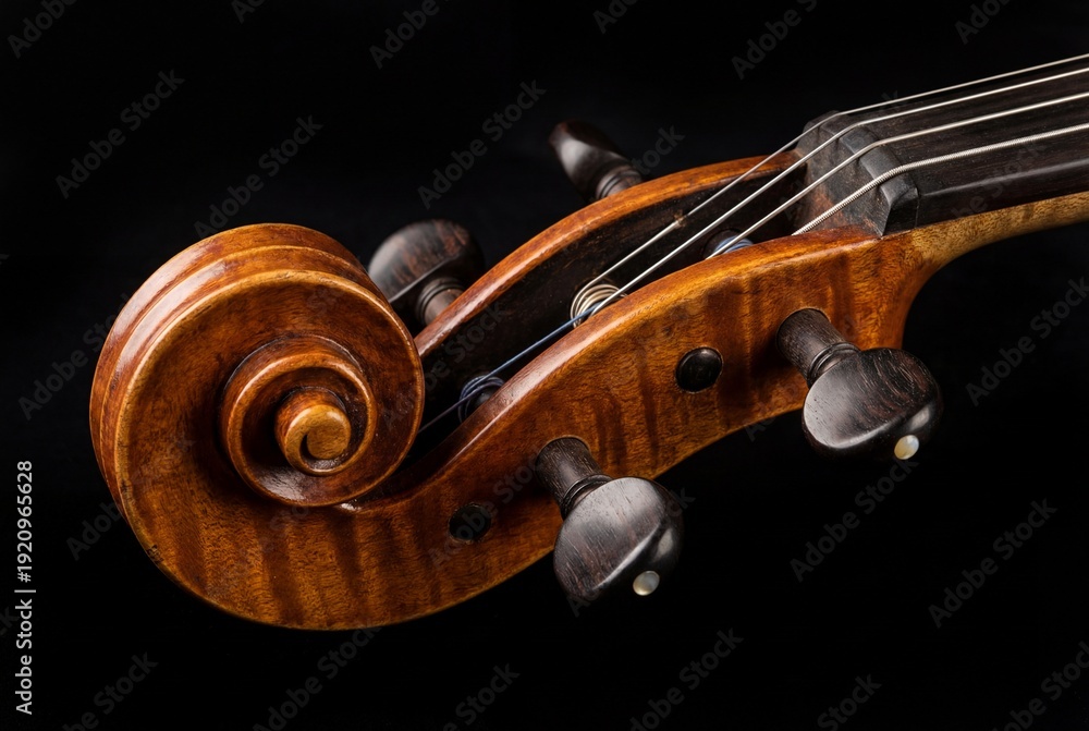 Fototapeta premium A close up photograph captures the carved wooden scroll and tuning pegs of a cello