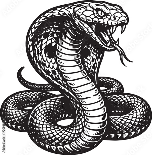 A detailed illustration of a venomous cobra snake, its hood flared and mouth open, revealing its fangs, ready to strike, its detailed scales emphasizing the danger.