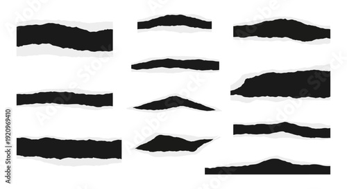 Collection of Realistic Torn Paper Edge Vector Graphics on White Background
