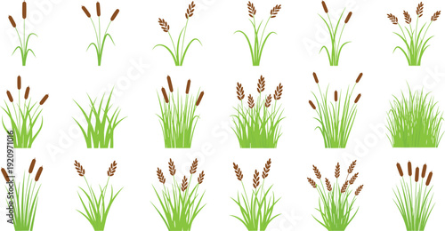 Set of Green Marsh Grass and Brown Cattail Icons in Various Clusters for Wetland Landscaping Lake Environment Design Pond Scenery and Nature Illustrations