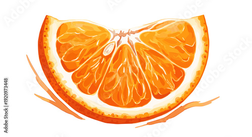 Vibrant orange fruit slice illustration isolated on white