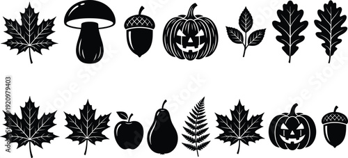Autumn Harvest Silhouette Set with Leaves, Pumpkin, Acorn and Mushroom, Black Halloween Fall Icons Collection Isolated on White Background