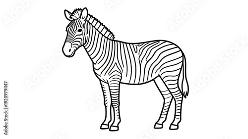 Black and white outline drawing of a zebra standing, showcasing its distinctive striped pattern and equine form.