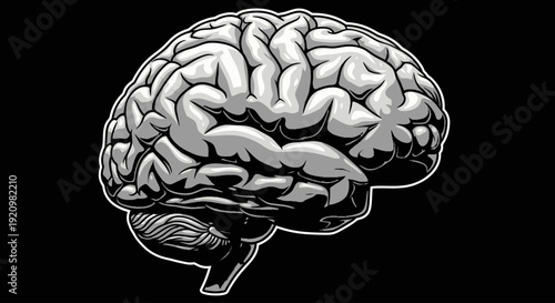 A detailed black and white illustration of a human brain, showcasing its intricate structure and complexity