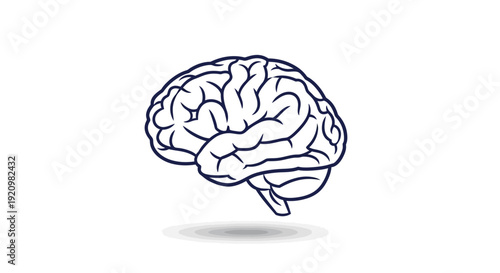 Line art illustration of a human brain with shadow on a white background, symbolizing thinking, intelligence, and medical concepts