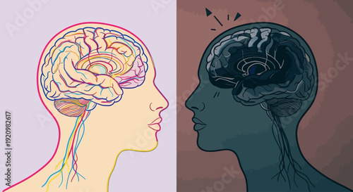 The Dichotomy of the Human Mind Illustrating Cognitive Processes and Neurological Functionality