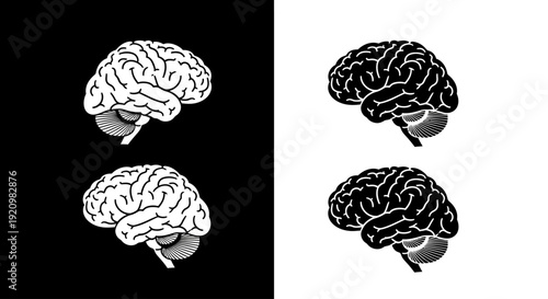 Dual Brain Imagery A Contrast Between Black and White Representations of the Human Mind