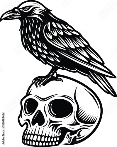 Raven perched on skull vector in black and white symbolizing mystery, death, and gothic themes