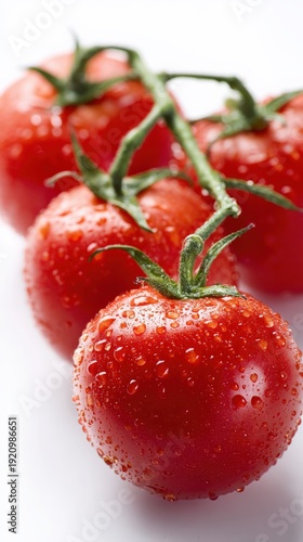 Fresh red tomatoes with water droplets on vine isolated on white background