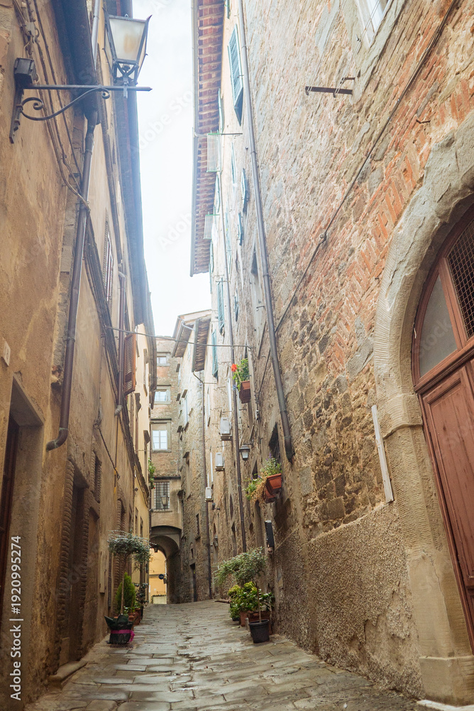 Naklejka premium Cortona, Tuscany, Italy: Narrow European street with stone buildings and plants