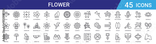 Set of 45 outline flower icons including alstroemeria, iris, dandelion, carnation, pansy, tulip, lotus, lavender. Thin line vector web design collection