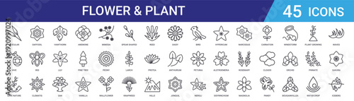 Set of 45 outline flower and plant icons including anemone, oak, lily, hawthorn, clematis, iris, daffodil. Editable stroke vector line icons for web and mobile app design
