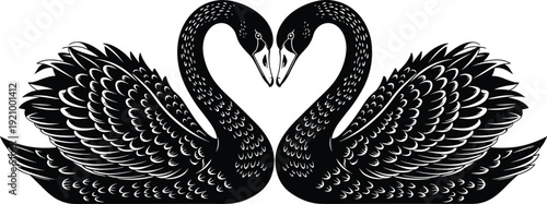 Black swan pair silhouette with heart shaped necks, romantic birds love symbol detailed vector illustration design