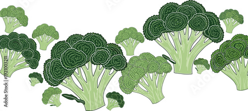Fresh green broccoli illustration, organic vegetable collection isolated on white background, healthy food concept, farm produce design artwork