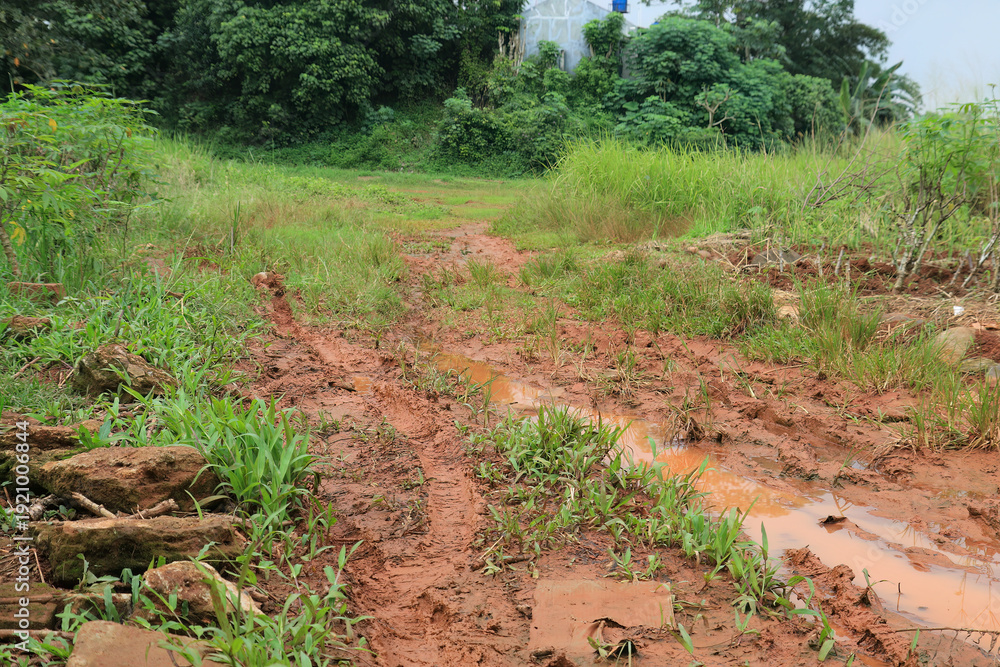 Fototapeta premium Muddy trail erosion environmental impact. Rural pathway after rainfall season. Soil degradation terrain climate effect. Wet ground texture natural disaster. 