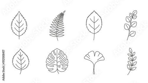 Collection of various leaf illustrations.