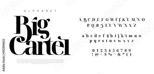 Big Cartel vintage elegant serif alphabet font with decorative ligatures for fashion and wedding design
