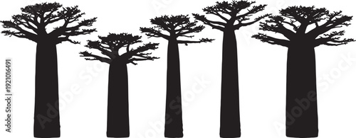 Black Solid Massive Baobab Tree Silhouettes Set of Six on White Background