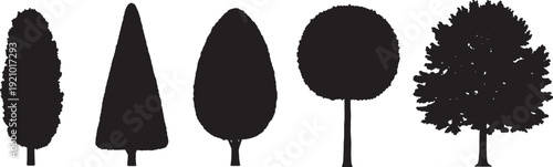 Black Solid Avenue Linden Tree Silhouettes Set of Six on White Background