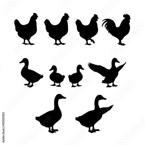Silhouettes of various poultry animals including chickens, hens, a rooster, ducks, and ducklings on a white background.