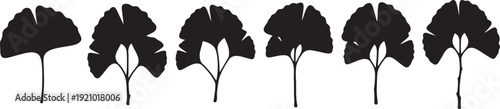 Black Solid Ancient Ginkgo Biloba Tree Silhouettes Set of Six on White Background