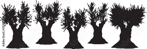 Black Solid Ancient Olive Tree Silhouettes Set of Six on White Background