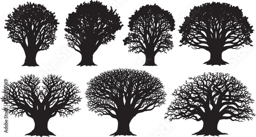 Black Solid Ancient Yew Tree Silhouettes Set of Six on White Background