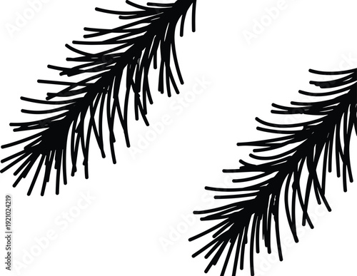 Pine tree branch silhouettes set, evergreen fir needle twigs isolated black botanical vector illustration on white background