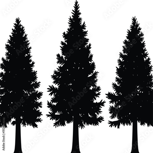 Pine tree silhouettes set, evergreen fir forest trees isolated black botanical vector illustration on white background