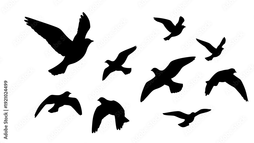 Obraz premium Silhouette Flock of Birds Flying in Formation Against White Background.