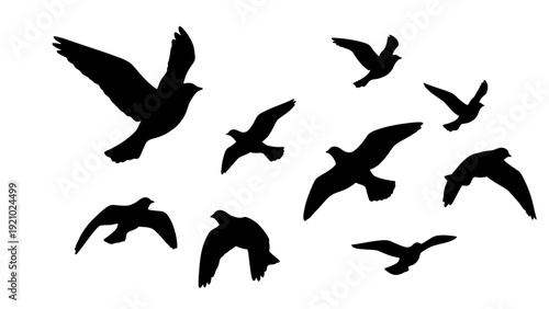 Silhouette Flock of Birds Flying in Formation Against White Background.