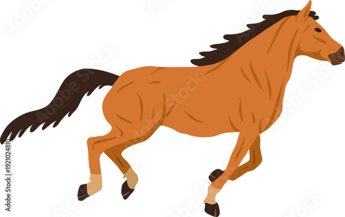 Galloping Horse Animal Illustration