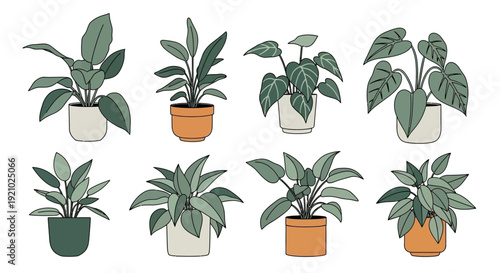 Collection of Potted Houseplants with Various Pot Types.