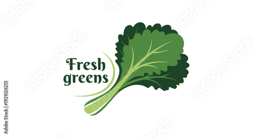 Kale Leafy Green Vegetable Illustration.