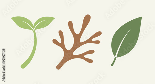 Sprout Seedling Leaf Botanical Illustration Elements.