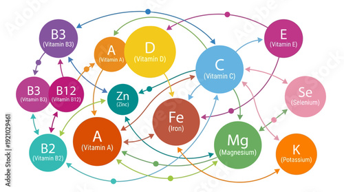 Vitamins Minerals Vector Infographic Illustration Essential Nutrients Health Wellness Diagram Circular Nodes Connections Vitamin C D A E K Iron Zinc Vector Design