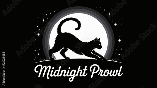 A black cat silhouette in a midnight scene with a full moon and stars