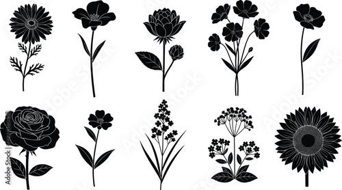 Set of Ten Black Floral Silhouettes Including Rose Sunflower and Daisy Isolated on White Background for Elegant Nature Design Botanical Illustrations and Garden Graphics