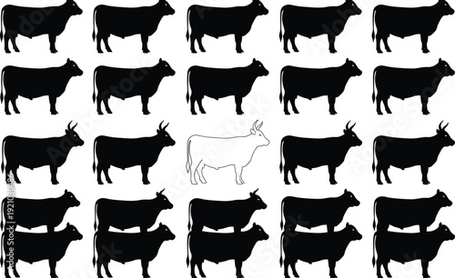 Single White Cow Silhouette Standing Out Against Many Black Cows, Illustrating Uniqueness, Difference, Exception, Contrast, Individuality, Nonconformity, and Standing Apart Vector Graphic.