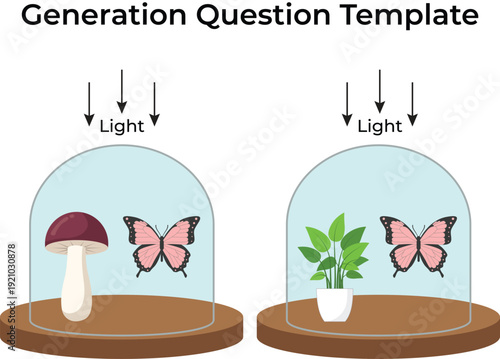 Biological Experiment Setup Plant vs. Fungus with Butterfly under Light