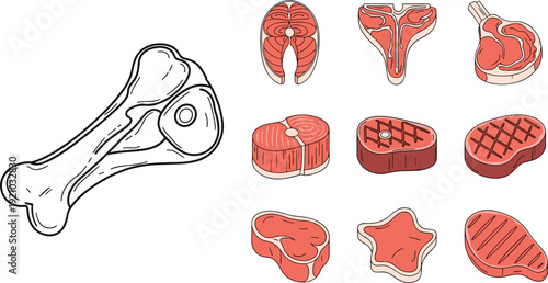 Raw and Cooked Meat Cuts Collection Featuring Steak Chop Rib and Bone Vector Illustration Set