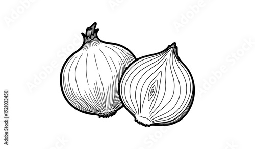Onion whole and sliced retro ink doodle hand drawn vegetable vector illustration