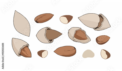 Minimal almond doodle set hand drawn ink vector illustration retro style