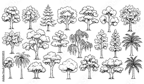 Hand drawn tree collection big set retro ink botanical vector illustration