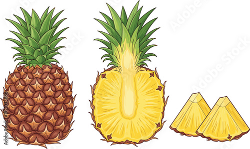 Flat vector illustration of pineapple fruit, whole, sliced half, triangular pieces, tropical food design, juicy yellow interior artwork