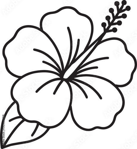 Black line art hibiscus flower isolated on transparent background