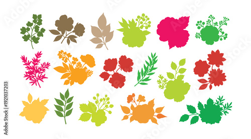 Collection of floral elements. A romantic assortment of flowers, twigs, leaves, herbs, and berries. Vector design set against a white background.