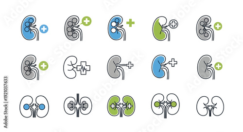 Collection of stylized kidney icons with various medical symbols and color variations, representing health and treatment options.