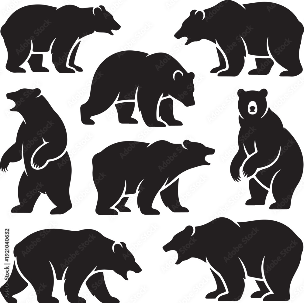 Obraz premium Bear wild animal silhouettes